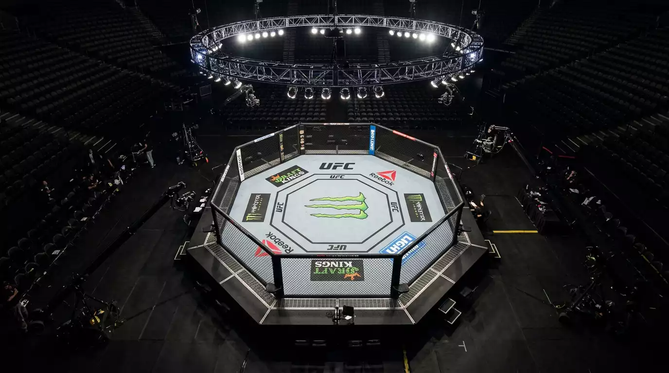 Analiza veniturilor UFC in 2025 si impactul asupra pietei de pariuri MMA